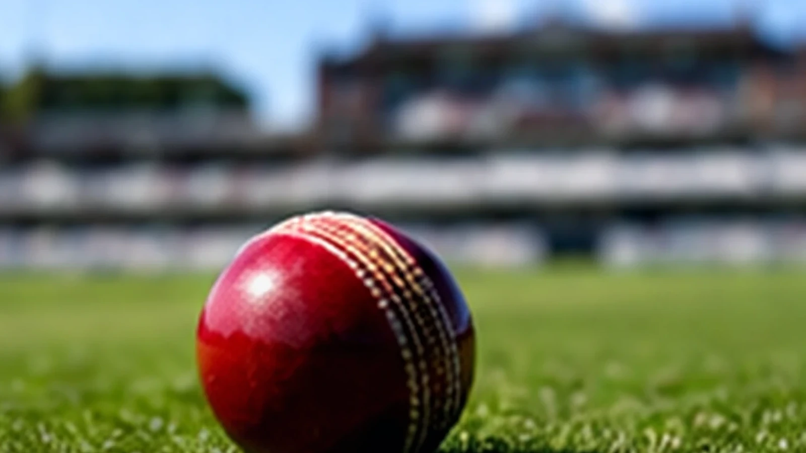Cricket ball on grass at an Australian cricket ground
